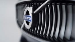 Volvo Concept Coupe (2013) - grill