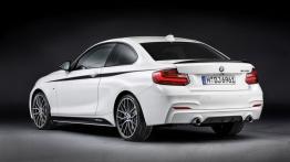 BMW serii 2 Coupe M Performance (2014) - widok z tyłu