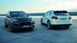 Porsche Cayenne III S Hybrid (2011) - widok z tyłu