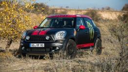 MINI Countryman off-road - widok z przodu