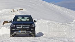 Mercedes GL 500 (X166) 4MATIC - widok z przodu