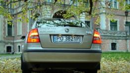 Skoda Octavia II 1.6 Ambiente - galeria redakcyjna - widok z tyłu