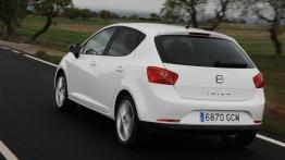 Seat Ibiza 2008 - tył - reflektory wyłączone