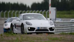 Porsche On Track. Nie kupuj kota w worku