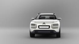 Citroen Cactus Concept (2013) - widok z przodu