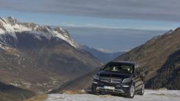 Mercedes GL 500 (X166) 4MATIC - widok z przodu