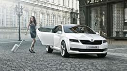 Skoda VisionD Concept - widok z przodu