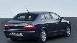 Skoda Superb II - widok z tyłu