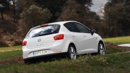 Seat Ibiza 2008 - widok z tyłu