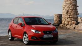 Seat Ibiza 2008 - widok z przodu