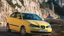 Seat Ibiza V - widok z przodu