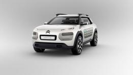 Citroen Cactus Concept (2013) - widok z przodu