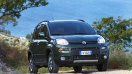 Fiat Panda III 4x4 - widok z przodu