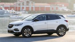 Opel Grandland X Ultimate (2018)  - lewy bok