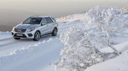 Mercedes GLE 500 e 4MATIC (W 166) 2016 - lewy bok