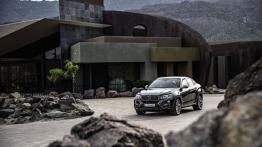 BMW X6 II xDrive50i (2015) - widok z przodu