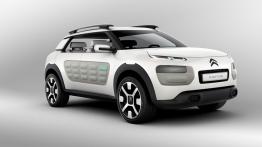 Citroen Cactus Concept (2013) - widok z przodu