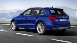 Audi SQ5 TDI - lewy bok