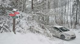 Na prąd, benzynę i ... drewno - jedziemy Toyotą Prius Plug-in po choinkę (Fotostory)