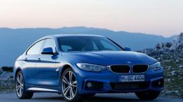 BMW 428i Gran Coupe M Sport - widok z przodu