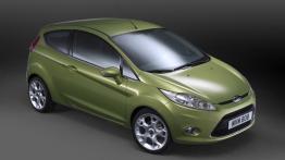 Ford Fiesta Hatchback 3D - widok z przodu