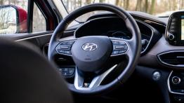 Hyundai Santa Fe 2.0 CRDI 185 KM - galeria redakcyjna - inny element panelu przedniego