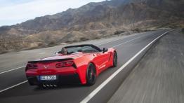 Chevrolet Corvette C7 Stingray Cabrio (2014) - wersja europejska - widok z tyłu