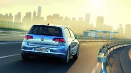 Volkswagen Golf VII TDI BlueMotion (2013) - widok z tyłu