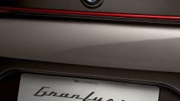 BMW Pininfarina Gran Lusso Coupe Concept (2013) - emblemat