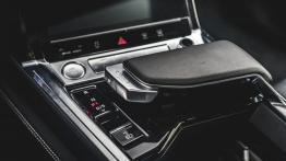 Audi e-tron - galeria redakcyjna - widok ogólny wn?trza z przodu