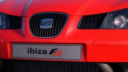 Seat Ibiza V FR - grill