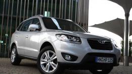 Hyundai Santa Fe 2010 - prawy bok