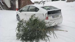 Na prąd, benzynę i ... drewno - jedziemy Toyotą Prius Plug-in po choinkę (Fotostory)