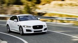 Jaguar XE 2.0d R-Sport Polaris White (2015) - widok z przodu