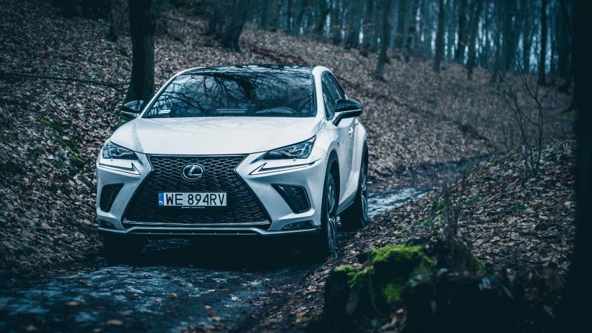 Lexus NX I SUV Facelifting 300h 197KM 145kW 2018-2021