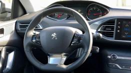 Peugeot 308 SW - Maciek