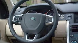 Land Rover Discovery Sport - galeria redakcyjna - kierownica