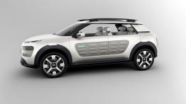 Citroen Cactus Concept (2013) - lewy bok