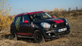 MINI Countryman off-road - prawy bok