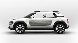 Citroen Cactus Concept (2013) - lewy bok