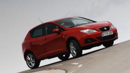 Seat Ibiza 2008 - prawy bok