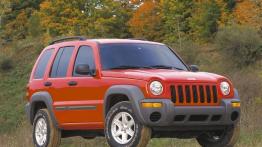 Jeep Liberty - widok z przodu