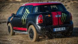 MINI Countryman off-road - widok z tyłu