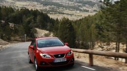 Seat Ibiza 2008 - widok z przodu