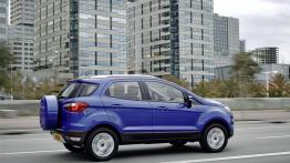 Ford EcoSport (2013) - wersja europejska - widok z tyłu