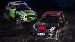 MINI Countryman off-road - widok z tyłu