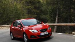 Seat Ibiza 2008 - widok z przodu