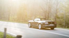 Ford Mustang VI Cabrio GT (2015) - wersja europejska - widok z tyłu