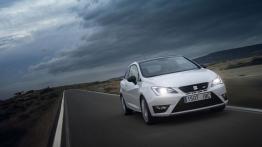 Seat Ibiza V Cupra - widok z przodu