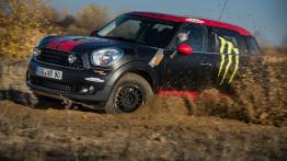 MINI Countryman off-road - lewy bok